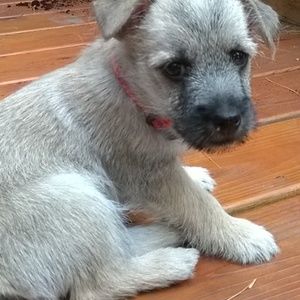 Meet your Posher, Sage